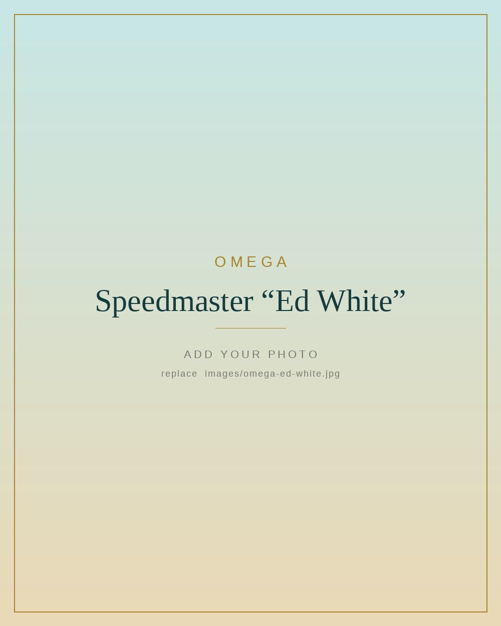 Omega Speedmaster “Ed White” · 105.003